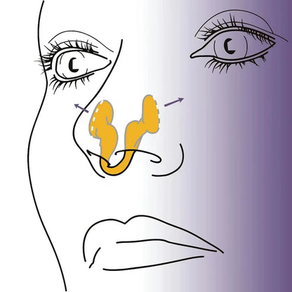 2 Pack Nasal Dilator - Prevent Snoring and Sleep Easier